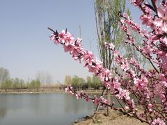 -东郊湿地公园