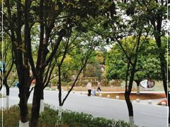 -铁山坪森林公园