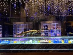 -AZUR聚(香格里拉饭店)