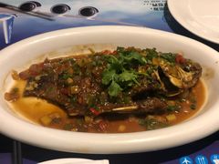 -赫帝拉航空主题餐厅(南宁店)