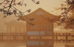 -素能手工陶艺馆·陶艺diy·亲子游乐(深圳书城·中心城店)