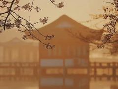 -素能手工陶艺馆·陶艺diy·亲子游乐(深圳书城·中心城店)