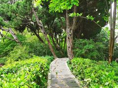 -嘉定紫藤园