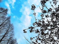 -蜀冈西峰生态公园