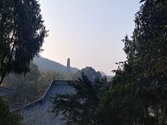 -天台山景区