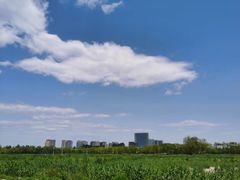 -大兴滨河森林公园