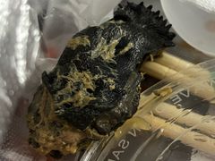 -广州长隆国际大马戏