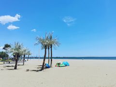 -金梦海湾浴场