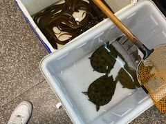 -小本鸡饭店(滨江白马湖店)