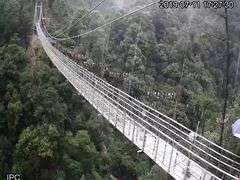 -九龙江国家森林公园