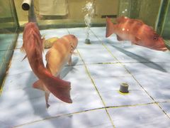 -旺顺阁海鲜广场(亚运村店)