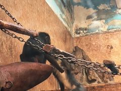 -石家庄市动物园