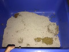 -美联众合爱康动物医院•复杂内科•肿瘤科•牙科•腔镜诊疗中心