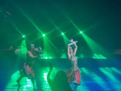 -珠海横琴长隆《卡卡虎奇遇记》