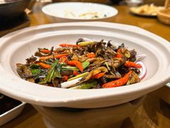 -鸽子窝(青塔店)