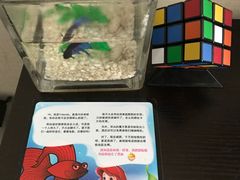 -桔子酒店(天津五大道店)