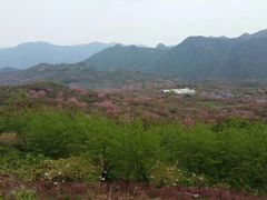 -四明山国家森林公园