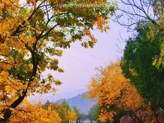 -北京金海湖景区