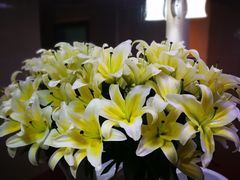 -农汤老店(顺联公园里店)