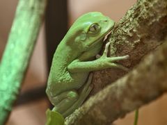 -上海昆虫博物馆