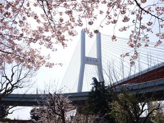 -南浦大桥长途旅游客运站