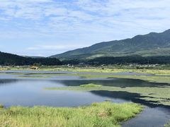 -腾冲北海湿地