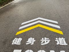 -三门江国家森林公园