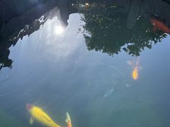 -西安市广仁寺