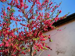 -乌山风景区