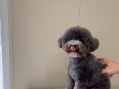 -圣宠动物医院·犬猫专科·影像中心·外科中心