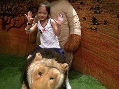 -济州岛泰迪熊博物馆