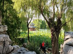 -莲池书院博物馆