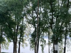 -东湖宾馆-中餐厅