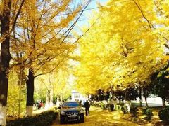 -辽东学院(南校区)