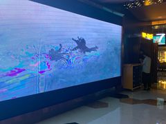 -环球国际影城(天鸿广场LUXE巨幕店)