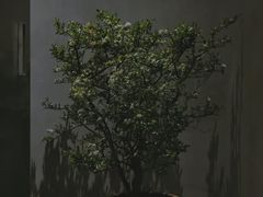 -二酉书店TOYOU BOOKS