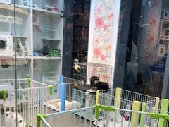 -萌兽医馆·眼科·异宠专科(三里屯店)