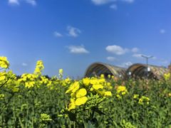 -中国天府农业博览园