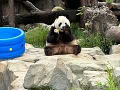 -宁波野生动物园