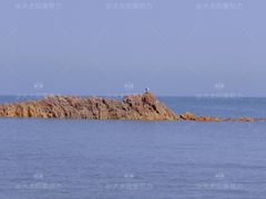 -小麦岛公园