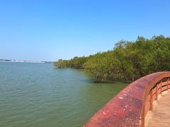 -宝安西湾红树林湿地公园