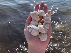-大理洱海