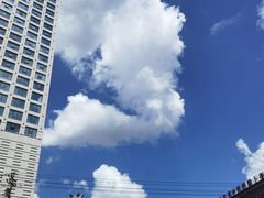 -齐齐哈尔市博物馆