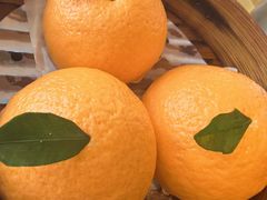 -红燕阁·中餐厅·粤式早茶·海南特色菜(红燕堂酒店)