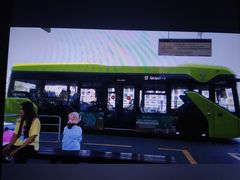 -富国岛珍珠游乐园