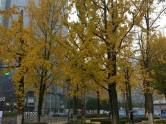 -百林公园-两江幸福广场