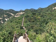 -大岭沟猕猴桃谷风景区