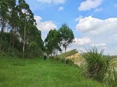 -黄埔油麻山森林公园