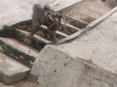 -福州动物园