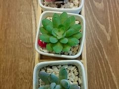 -必胜客(大悦城店)